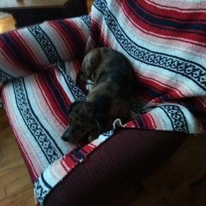 Meet your Posher, Tonya